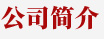 公司簡(jiǎn)介